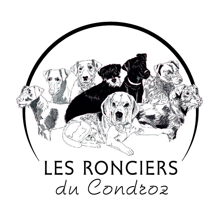 Logo-Les-Ronciers-du-Condroz