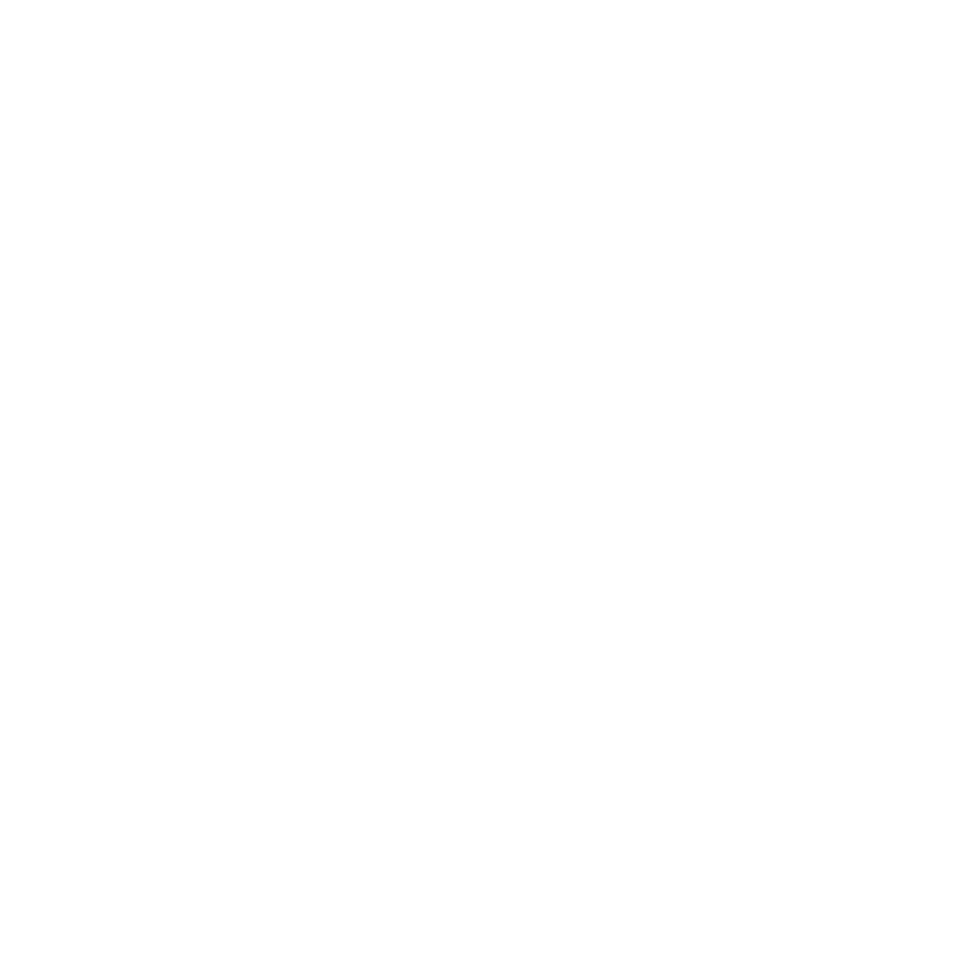 Cindesigner-illustration-Hyrondelle